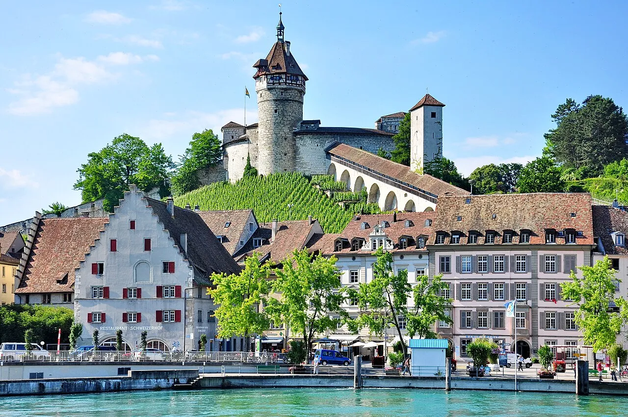 Schaffhausen, Kanton Schaffhausen – Umzug Schaffhausen mit Zügelzentrum