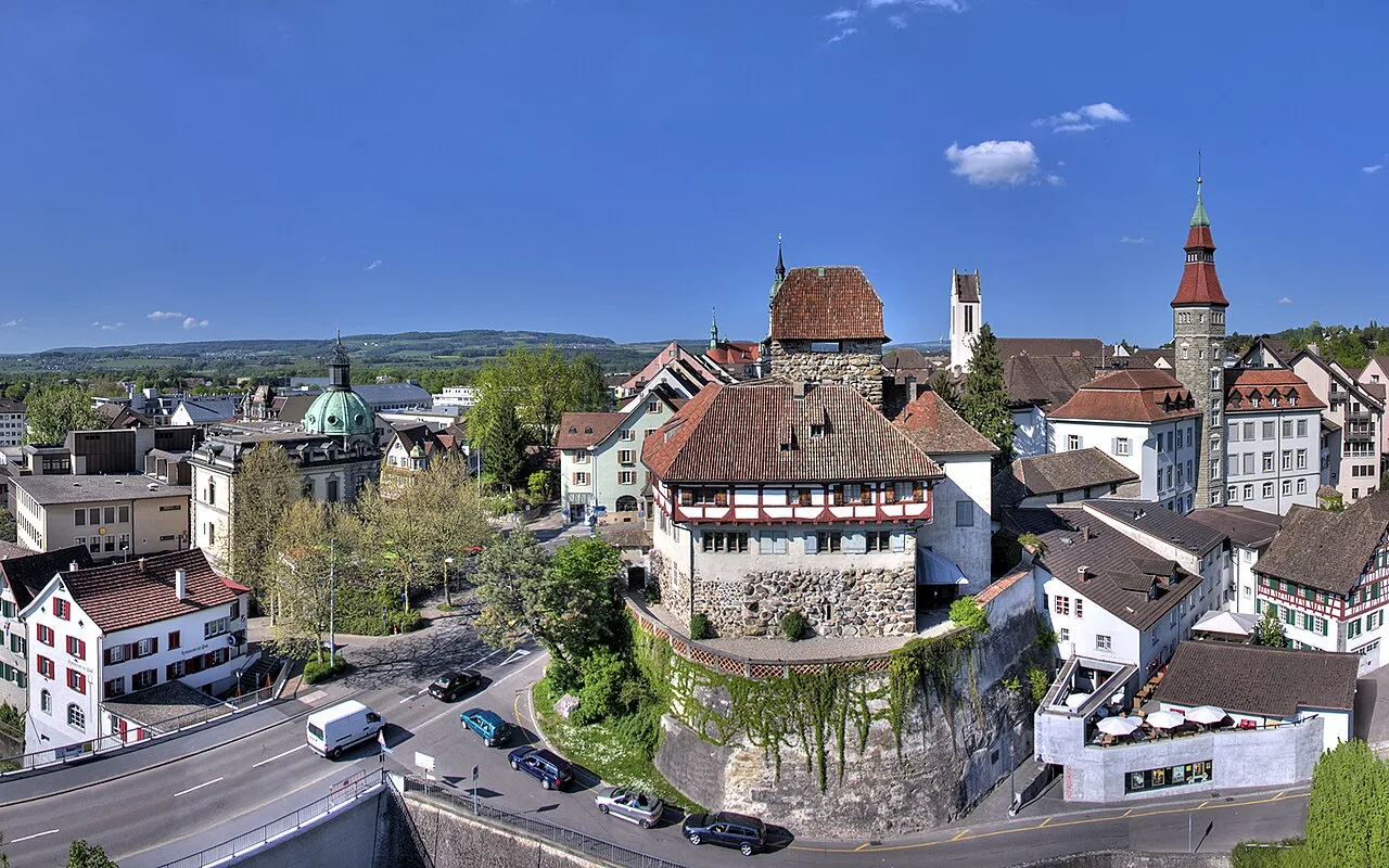 Frauenfeld, Kanton Thurgau – Umzug Thurgau mit Zügelzentrum