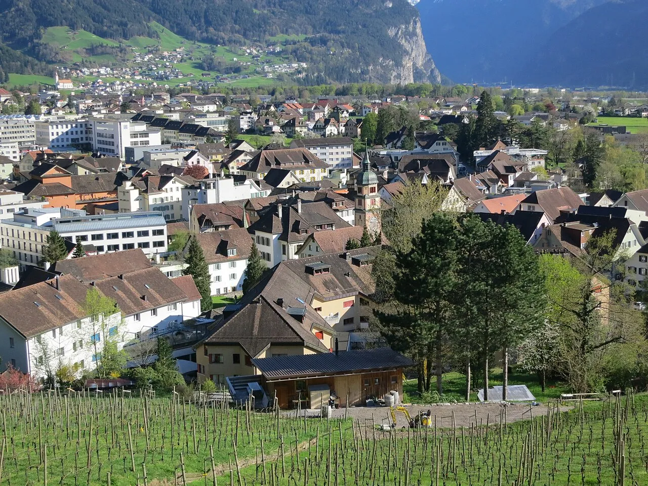 Altdorf, Kanton Uri – Umzug Uri mit Zügelzentrum
